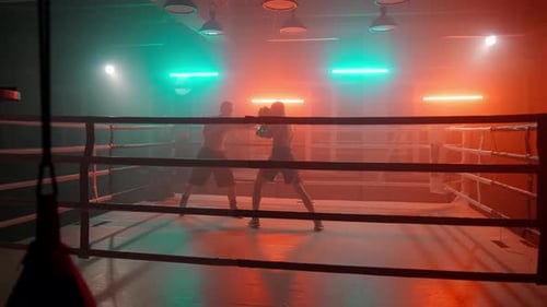 Slow Box Fight