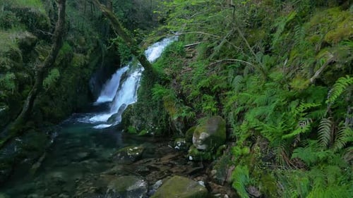 Tropical Forest Cascades Flowing Over Moss-Covered Rocks At Santa Leocadia Waterfall In Mazaricos, G