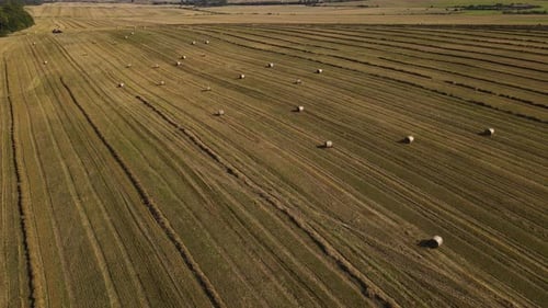 Aerial Panoramic View on the Wheat Field with Haystacks Drone Backward Reveal Shot