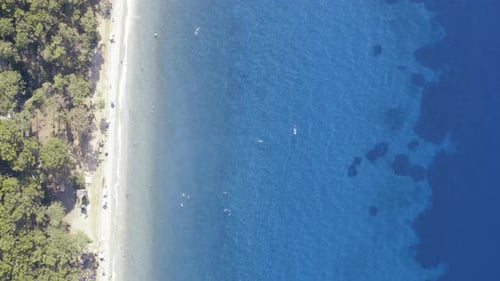 Drone Flies Over a Beach and Sea Bird Eye View