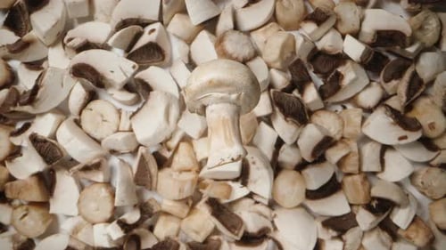 Top view of a white mushroom rotating against the backdrop of sliced mushrooms, depicting the concep