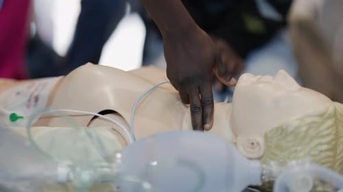 Medical Dummy for Training Emergency Services Procedures