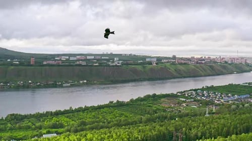 Eagle Soaring Over a Lush Green Landscape