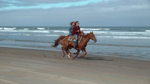Super Shof of Women Riding Horses at Beach, Oregon,