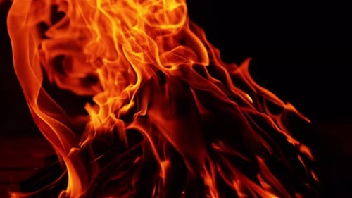 Wood stacked in a pyramid burn in the campfire. Isolated bonfire on the black backdrop. Close up.