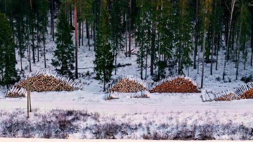 Aerial view of wood piles stacked in snowy forest landscape during winter season