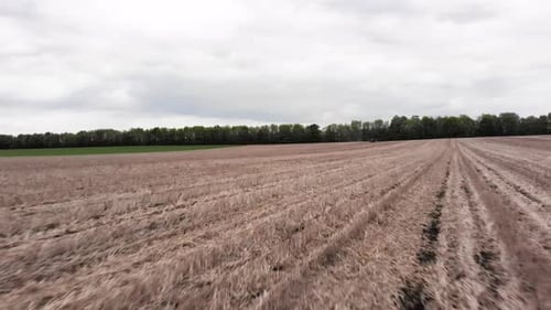 Wheat field aerial view in Ukraine