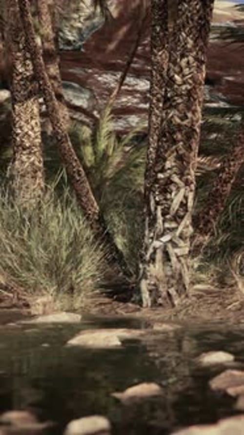A Serene Stream Flowing Through a Vibrant Green Forest