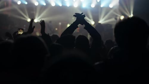 Enthusiastic Crowd Enjoying Live Music Concert at Night