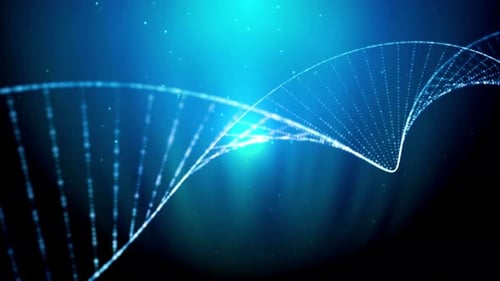 DNA Molecule, double helix strands