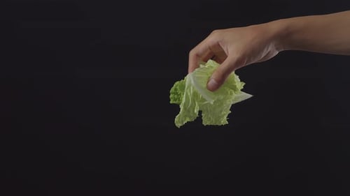 Close Up Of Chef's Hand Dropping Lettuce Curved Leaves On The Black Background