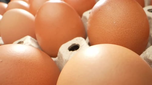 Fresh eggs meticulously arranged in a paper tray.