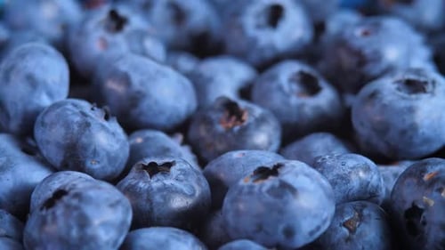 Appetizing Raw Juicy Blueberry