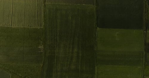 Fields of different shades of green in farming countryside of Georgia.