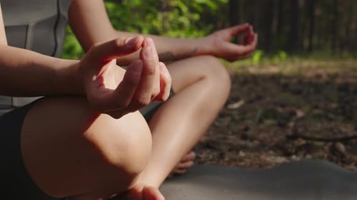 Woman Meditating Outdoors in Forest Sunlight