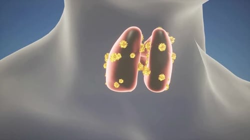 3D Medical Animation of Thyroid Gland Cellular Interaction