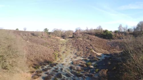 Drone shot of nature field with trees in national park.