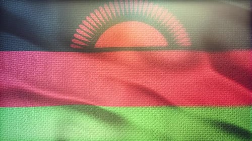 Malawi National Flag Waving Seamless Loop with Fabric Texture
