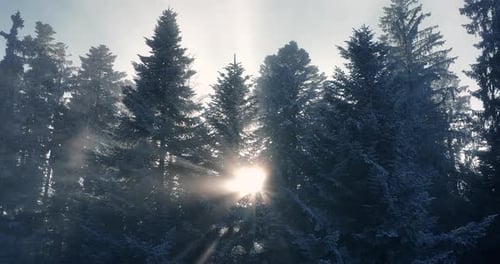Aerial View of Cold Frozen Snowing Winter Scenery Background