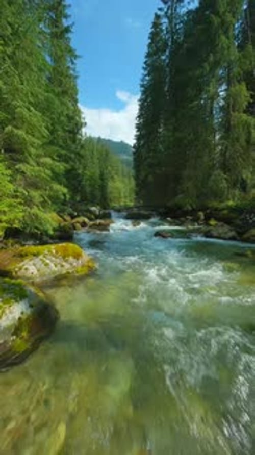 Flight Over a Mountain River Shot on FPV Drone Tatra Mountains Slovakia