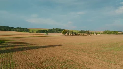 Agricultural combine harvester working on an expansive golden wheat field during a bright sunny day.
