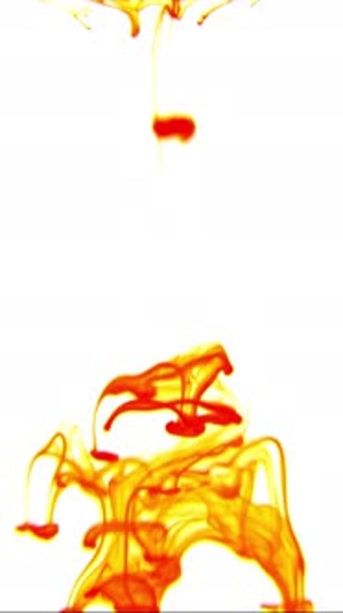 Red and Yellow Ink Flowing in Water on White