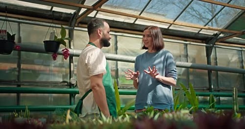 A Confident Male Assistant in a Green Apron Tells a Female Client About Flowers in a Greenhouse and