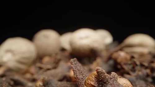 Spices on the table, scattered cloves and nutmeg. The focus shifts to nuts and I take one. Close-up.