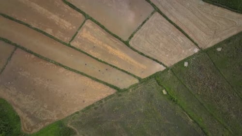 Agricultural Land On The Green Island Of Palawan