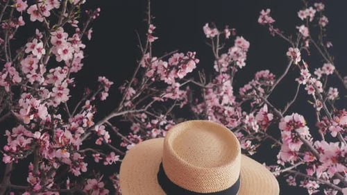 Rear View of a Woman with Long Blond Hair in a Straw Stylish Hat on a Dark Background of Branches of