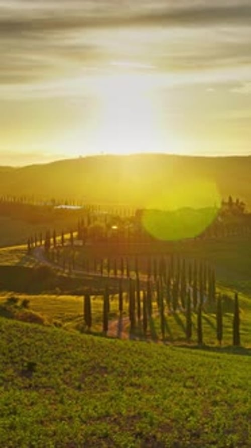Tuscany landscape road cypresses hill sunset