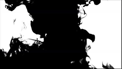 Black Ink Fluid Spread Reveal Transition