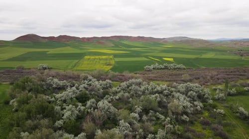 Farmlands And Red Mountains