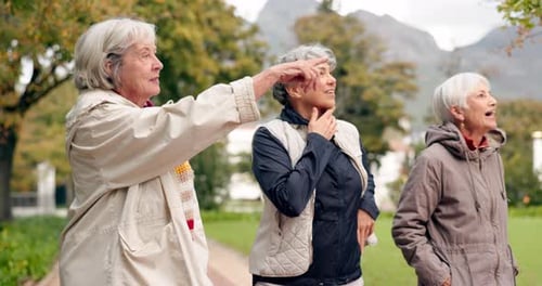 Senior friends, talking and walking together on an outdoor path to relax in nature with elderly