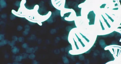 Illuminated Strands of DNA Floating in a Dark Digital Environment