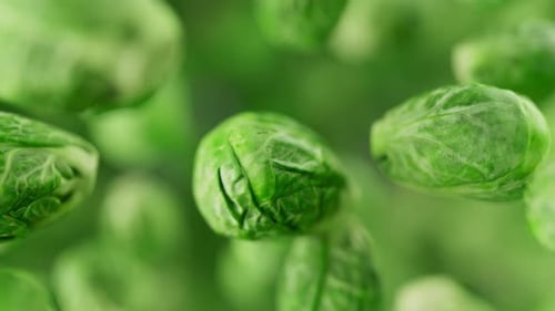 Animation of a group of brussels sprouts. Defocus. Close-up.