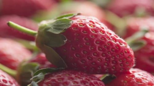 Closeup view of fresh ripe strawberry. Harvest of red berries