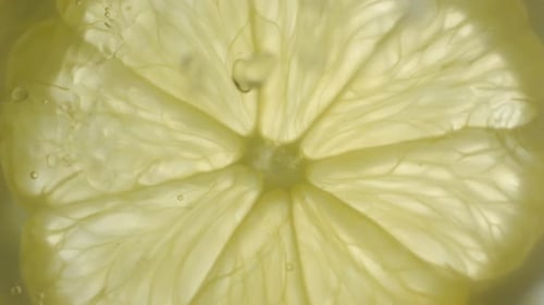 Backlit Slice of Lemon in Water with Bubbles