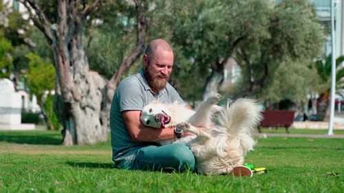 Man Pet Owner Plays with His Happy Pet Dog Golden Retriever Outside on Lawn Public Park During