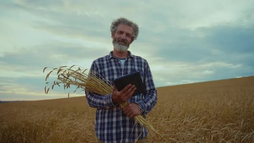 Farmer Holds Tablet While Standing in Golden Wheat Field During Sunset