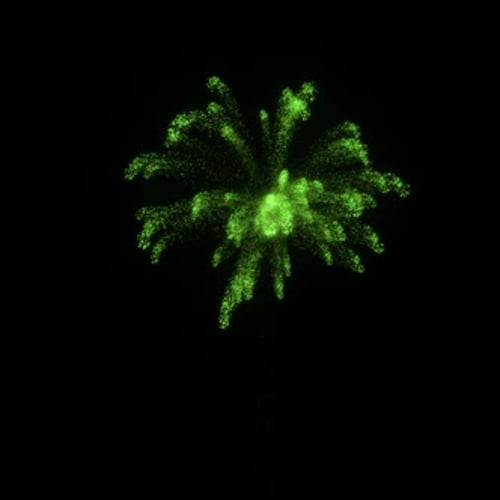 feux d'artifice A 08