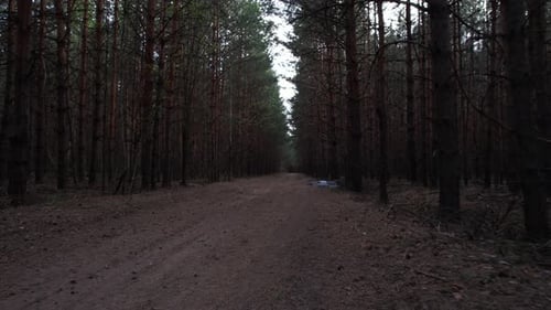 Following A Small Drone In The Forest