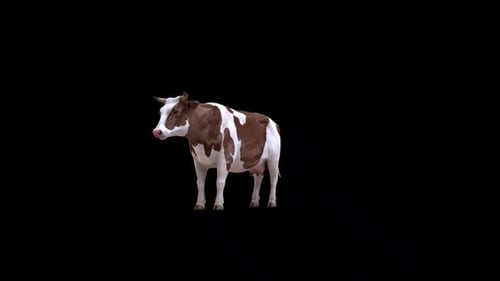 Animated Realistic 3D Cow Standing