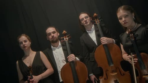 Portrait of String Quartet on Stage