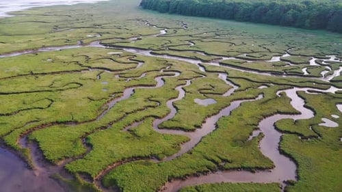 Aerial view of river tyne and marshland, Scotland.