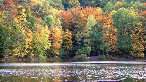 Sparkling Water Of Calm Lake With Autumnal Trees On The Forest In Background. - wide shot