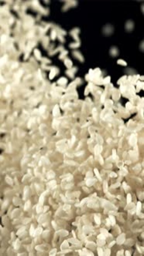 Sesame Seeds Fly Up and Fall Down