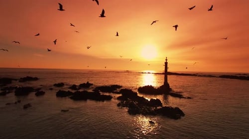 Sunset on the beach 4K