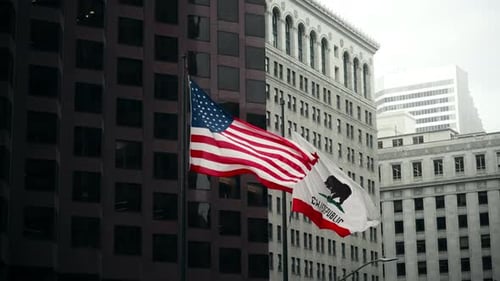 Flags Waving in the Breeze in the City