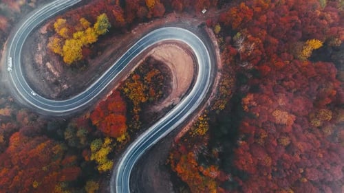 Aerial View of Curvy Road Through Autumn Forest
